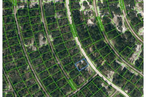 354 WILDWOOD DR, LAKE PLACID, FL 33852 - MLS#MFROM621659