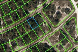 389 SHOWBOAT AVENUE, LAKE PLACID, FL 33852 - MLS#MFROM621738