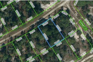 389 SHOWBOAT AVENUE, LAKE PLACID, FL 33852 - MLS#MFROM621738