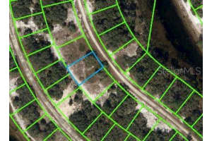 300 DARGEN DRIVE, LAKE PLACID, FL 33852 - MLS#MFROM621771