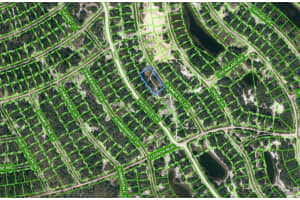 314 DRAMA DR, LAKE PLACID, FL 33852 - MLS#MFROM621775