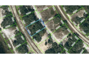 313 RHYTHM DRIVE, LAKE PLACID, FL 33852 - MLS#MFROM621777