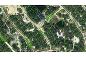 506 DREAMLAND AVE, LAKE PLACID, FL 33852 - MLS#MFROM621782