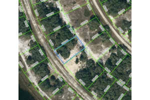 311 RHYTHM DRIVE, LAKE PLACID, FL 33852 - MLS#MFROM621788