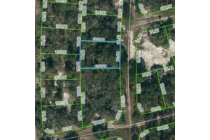 244 BLUE HORIZON DR, LAKE PLACID, FL 33852 - MLS#MFROM623430