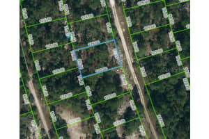 210 FASCINATION DR, LAKE PLACID, FL 33852 - MLS#MFROM623432