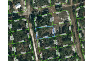 221 FASCINATION DR, LAKE PLACID, FL 33852 - MLS#MFROM623435