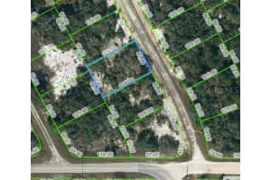 204 DEEP PURPLE DR, LAKE PLACID, FL 33852 - MLS#MFROM623443
