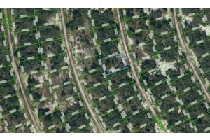 218 DEEP PURPLE DRIVE, LAKE PLACID, FL 33852 - MLS#MFROM623560