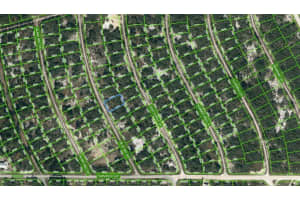 213 BLUE SKY DRIVE, LAKE PLACID, FL 33852 - MLS#MFROM623561