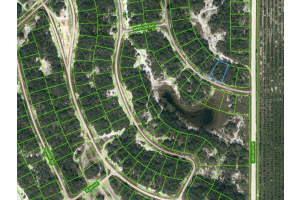 205 CRYSTAL LAKE DR, LAKE PLACID, FL 33852 - MLS#MFROM623583