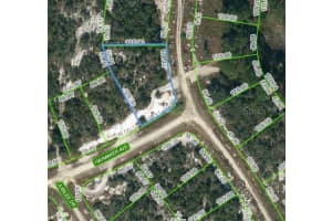 124 SUMMER OAK CT, LAKE PLACID, FL 33852 - MLS#MFROM623701