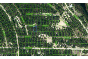 415 SURRENDER CT, LAKE PLACID, FL 33852 - MLS#MFROM624089