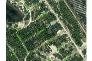 455 APPLE BLOSSOM CT, LAKE PLACID, FL 33852 - MLS#MFROM624322