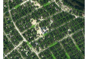 410 TAHITI LN, LAKE PLACID, FL 33852 - MLS#MFROM624332