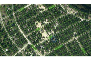 411 TAHITI LN, LAKE PLACID, FL 33852 - MLS#MFROM624334