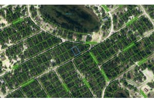 432 APPLE BLOSSOM COURT, LAKE PLACID, FL 33852 - MLS#MFROM624336