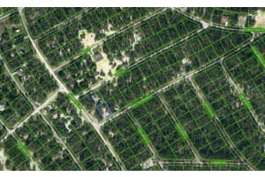 402 APPLE BLOSSOM CT, LAKE PLACID, FL 33852 - MLS#MFROM624338