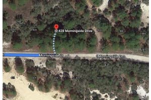 428 MORNINGSIDE DR, LAKE PLACID, FL 33852 - MLS#MFROM624455