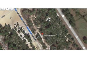712 MORNINGSIDE DR, LAKE PLACID, FL 33852 - MLS#MFROM624597