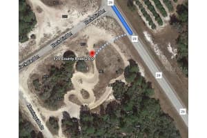 939 COUNTY ROAD 29, LAKE PLACID, FL 33852 - MLS#MFROM624599