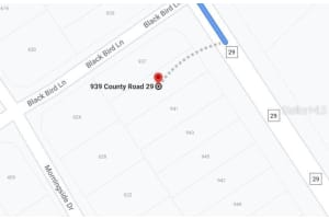 939 COUNTY ROAD 29, LAKE PLACID, FL 33852 - MLS#MFROM624599