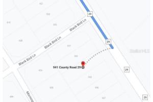 941 COUNTY ROAD 29, LAKE PLACID, FL 33852 - MLS#MFROM624603