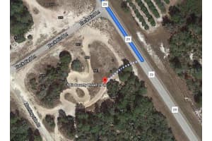 943 COUNTY ROAD 29, LAKE PLACID, FL 33852 - MLS#MFROM624616