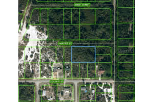 1515 RAINTREE ST, LAKE PLACID, FL 33852 - MLS#MFROM624735