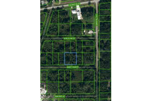 1510 SWEET GUM ST, LAKE PLACID, FL 33852 - MLS#MFROM624736