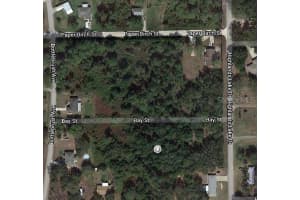 1511 BLACKWILLOW ST, LAKE PLACID, FL 33852 - MLS#MFROM624739
