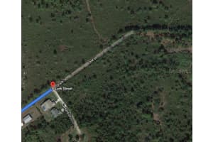 569 KENNEDY ST, LAKE PLACID, FL 33852 - MLS#MFROM624746