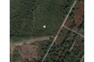 1431 SCRUB JAY ST, LAKE PLACID, FL 33852 - MLS#MFROM624748