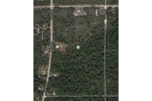 1411 CALADIUM ST, LAKE PLACID, FL 33852 - MLS#MFROM624816