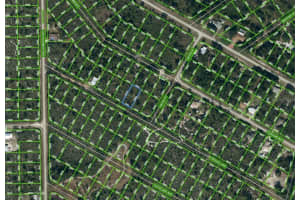 1034 FREEHILL AVE, LAKE PLACID, FL 33852 - MLS#MFROM625222