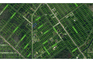 543 HALLMARK AVENUE, LAKE PLACID, FL 33852 - MLS#MFROM625645