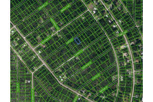 1221 CURTIS STREET, LAKE PLACID, FL 33852 - MLS#MFROM625664