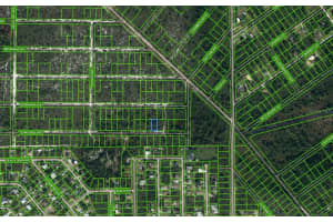 596 TENNESSEE AVE, LAKE PLACID, FL 33852 - MLS#MFROM625671