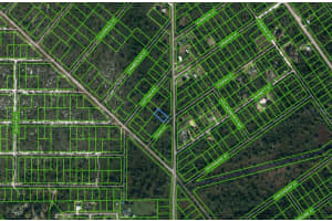 608 TEXAS ST, LAKE PLACID, FL 33852 - MLS#MFROM625673