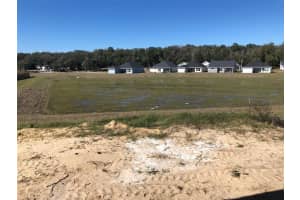 12370 NW 159th Way, Alachua, FL 32615, Sold 03/30/22