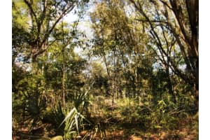 0 NE 128TH AVE, WILLISTON, FL 32696 - MLS#MFROM634790