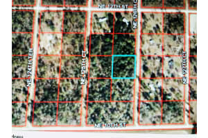 0 NE 126TH CT, WILLISTON, FL 32696 - MLS#MFROM634796