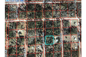 0 NE 123RD AVE, WILLISTON, FL 32696 - MLS#MFROM634813