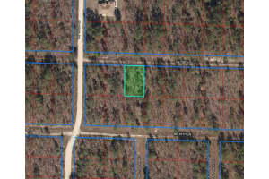 15580 NE 16TH PL, WILLISTON, FL 32696 Sold 01/16/25