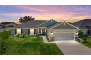 9750 Pepper Tree Pl, Wildwood, FL 34785, Sold 05/11/22