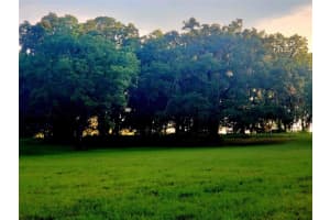 1077 144TH COURT ROAD, OCALA, FL 34481 - MLS#MFROM641353