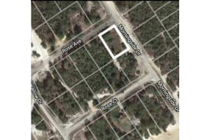 459 HARMON AVENUE, LAKE PLACID, FL 33852 - MLS#MFROM643845