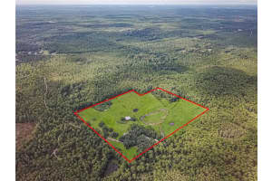 3350 125TH TERRACE ROAD, SILVER SPRINGS, FL 34488 - MLS#MFROM645655