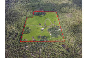 3350 125TH TERRACE ROAD, SILVER SPRINGS, FL 34488 - MLS#MFROM645655