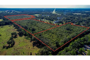  205 AVE NE, WILLISTON, FL 32696 - MLS#MFROM647148